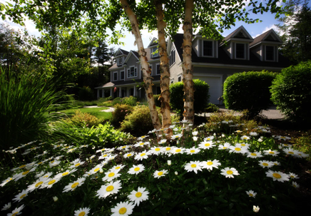 A charming house is framed by lush green foliage and a bright flower bed.