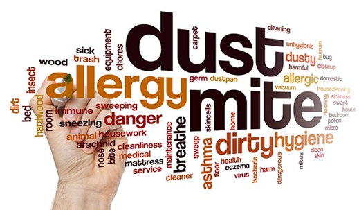 Word cloud about dust allergy, including related words: "dust", "allergy", "mite", "danger", and "dirty hygiene". A hand holds a marker to the cloud.