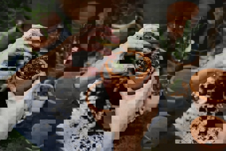 Hands carefully pot a small cactus in a terracotta pot, surrounded by other pots and soil.