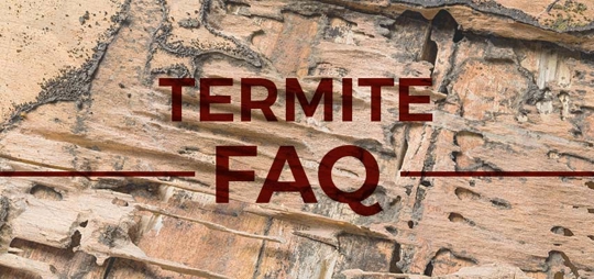 This image is for a termite FAQ, and it shows termite damage in the wooden structure of a building.