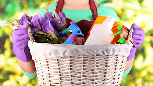 A woman holding a basket of cleaning supplies