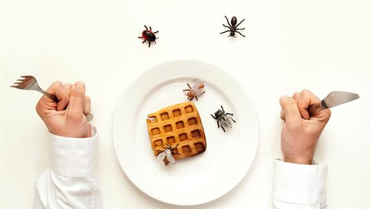 Hands poised with utensils