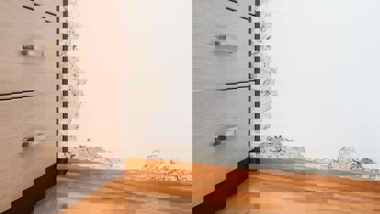 Mold grows on the wall next to a cabinet