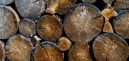 A neatly stacked pile of firewood.