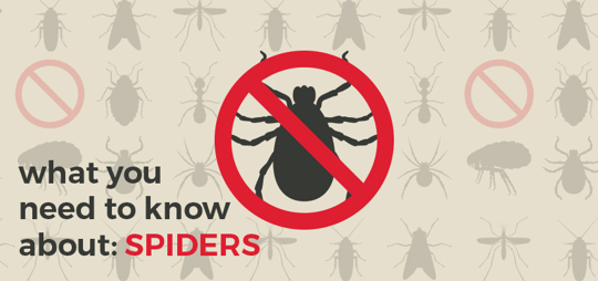 Website image featuring a spider icon with a red prohibition symbol, surrounded by other insect silhouettes.