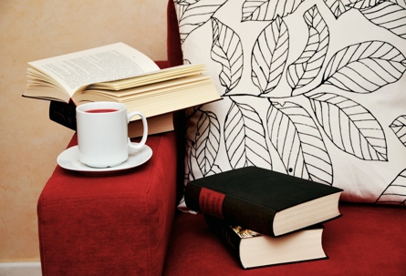Two books rest on a red sofa next to a white pillow, and a cup sits on an open book.