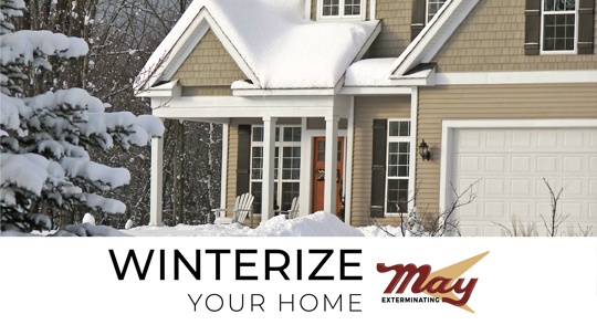 winterize