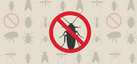 Pest control graphic shows a variety of insects overlaid with a large red circle and line through a cockroach.