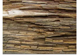 Wood damaged