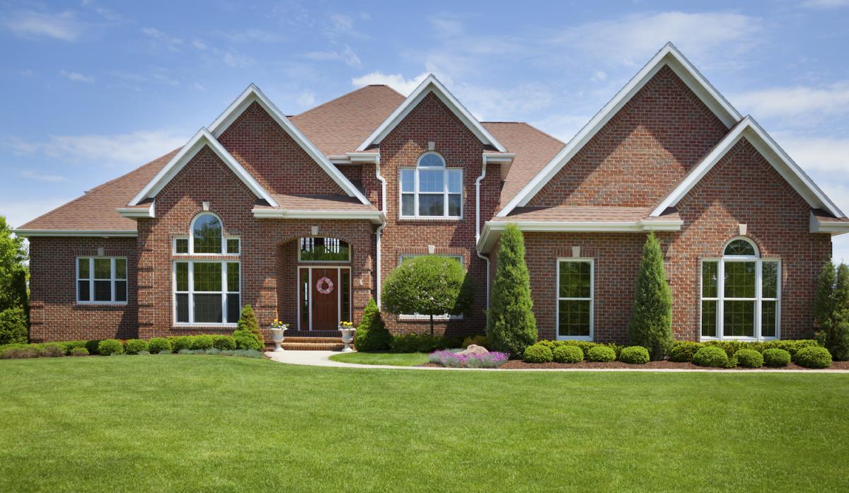 termite-control-nc termite-control-nc