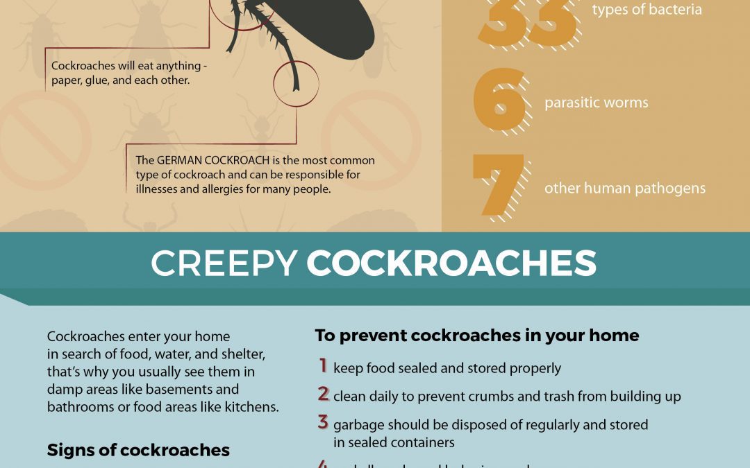 cockroach-infographic-01