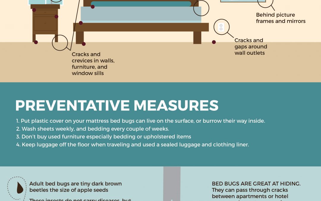 bed-bug-infographic-01