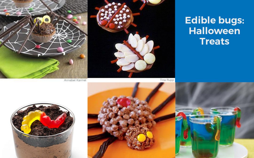 edible bugs halloween treats