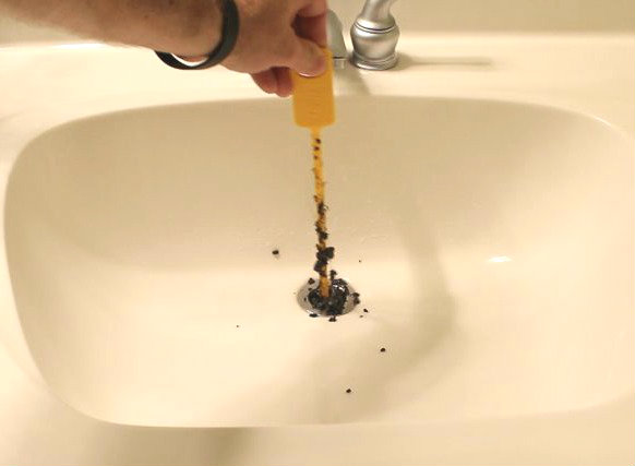 swarm of gnats around kitchen sink home remedies