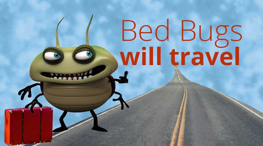 bedbugswilltravel