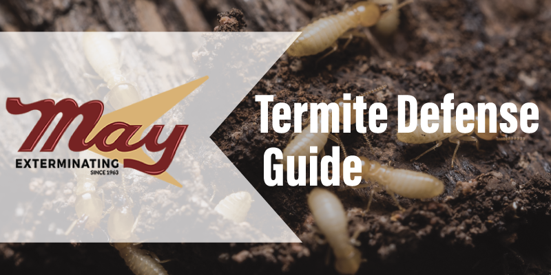 Termite Defense Guide - FREE DOWNLOAD