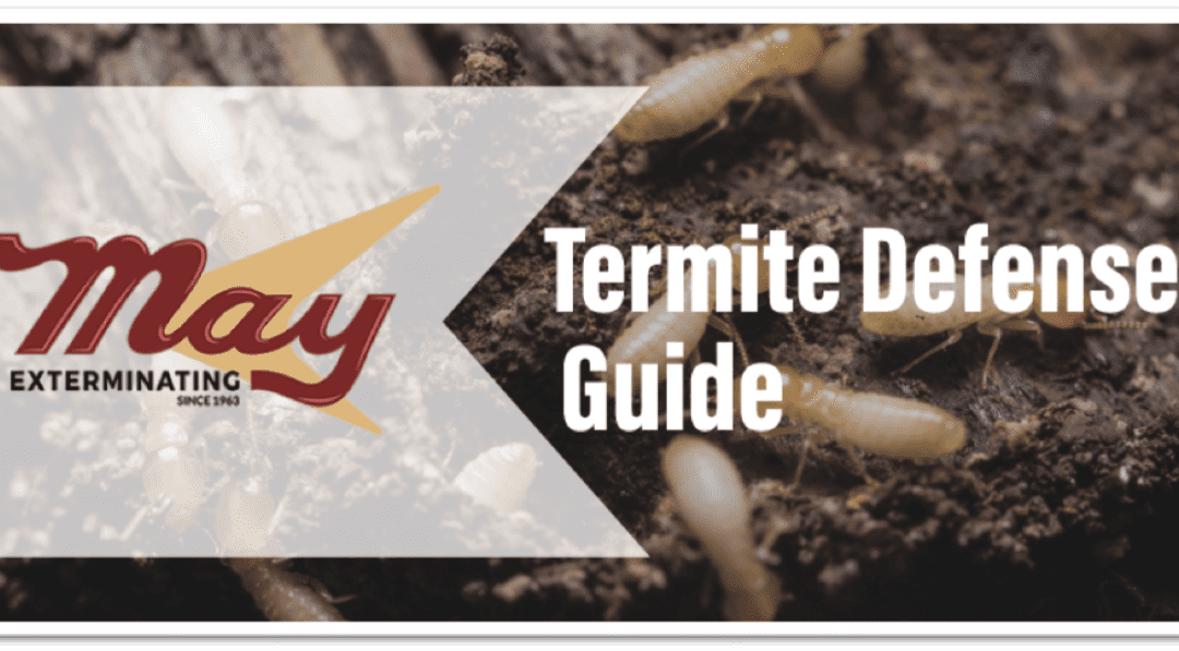 termitedefenseguide