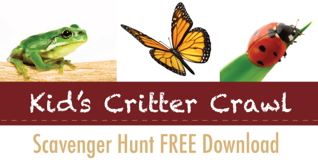 Kid's Critter Crawl