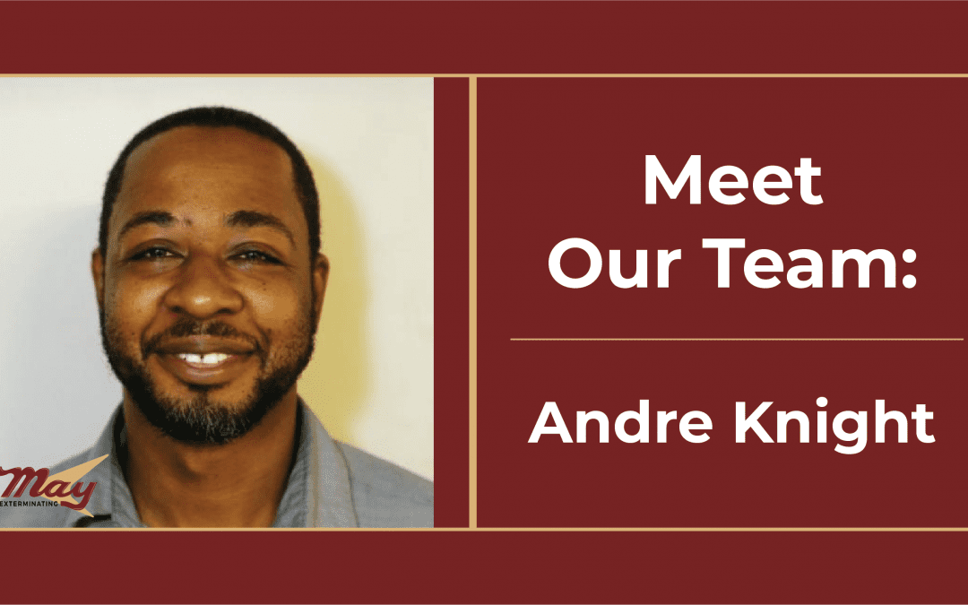 Andre Knight Update-02-02