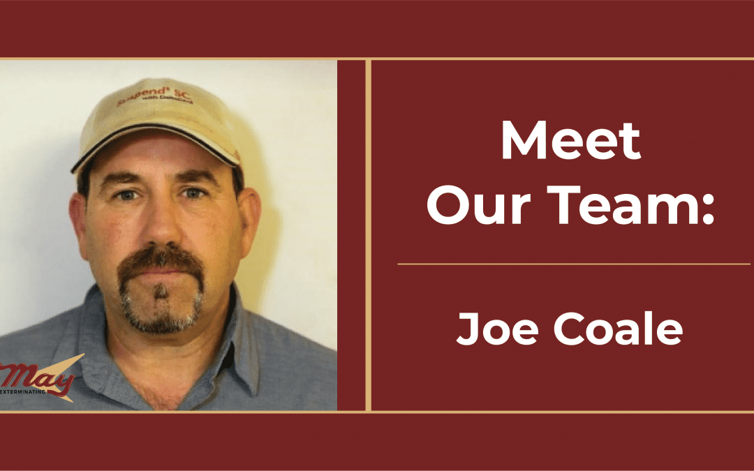 Joe Coale Update-01