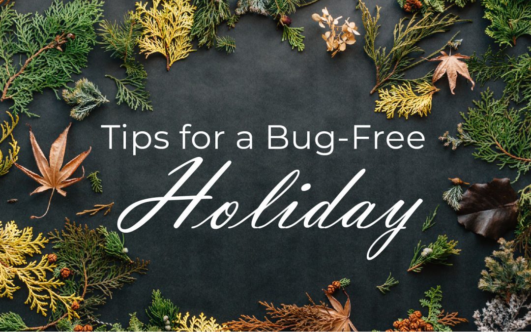 bug-free-holiday-01