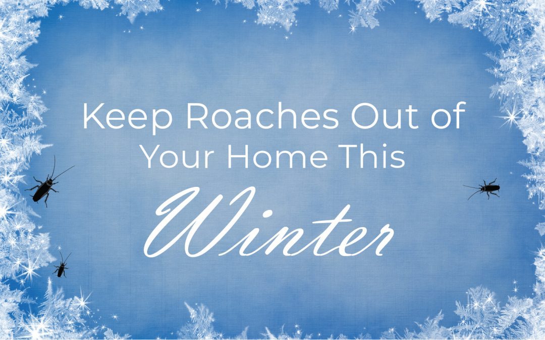 Roaches Out This Winter-01