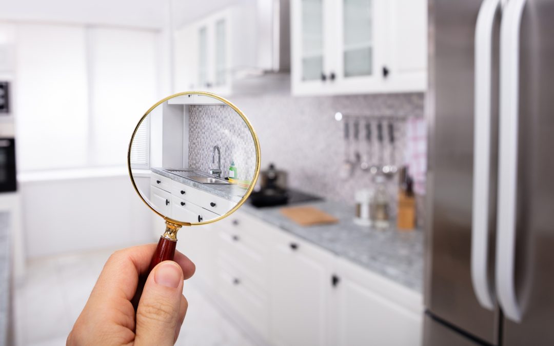 Person holding magnifying glass over kitchen